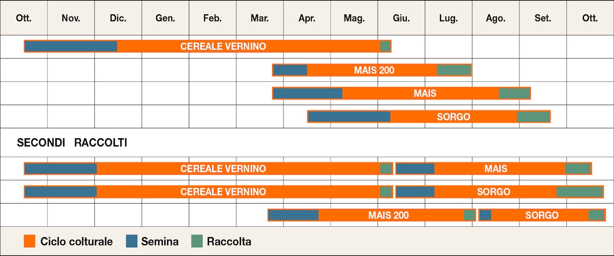 Schema di possibile inserimento di colture quali sorgo, cereali autunno-vernini, mais e mais precocissimi nella rotazione colturale